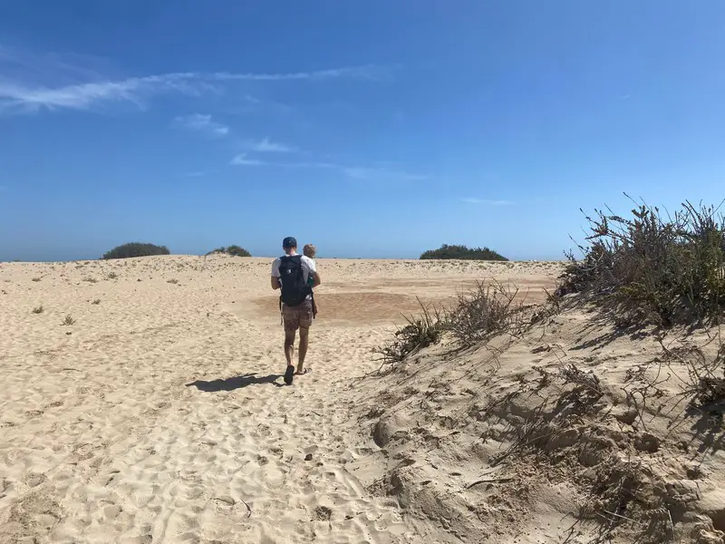 sand dune beach corralejo