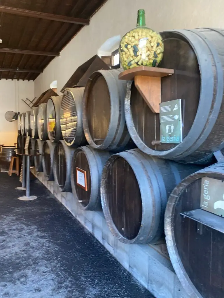 Visiting Bodega La Geria Lanzarote Winery